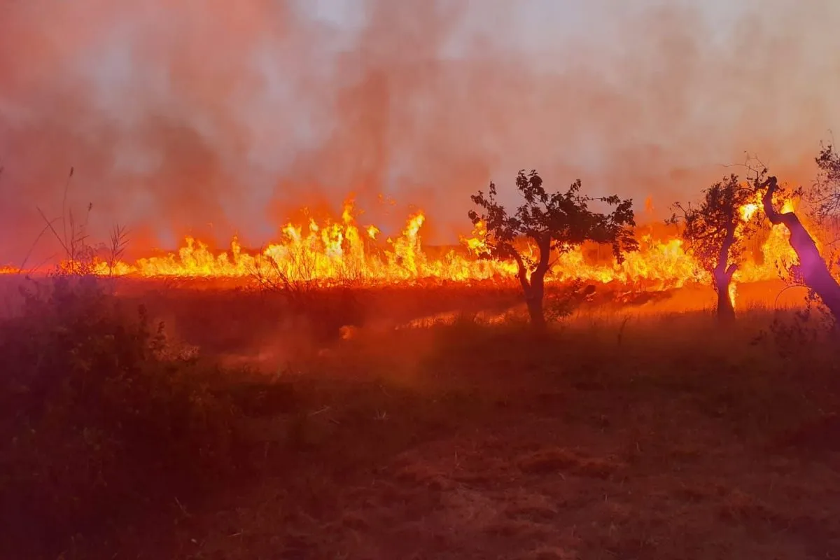 Bollettino di previsione di pericolo incendio per sabato13/09/2024