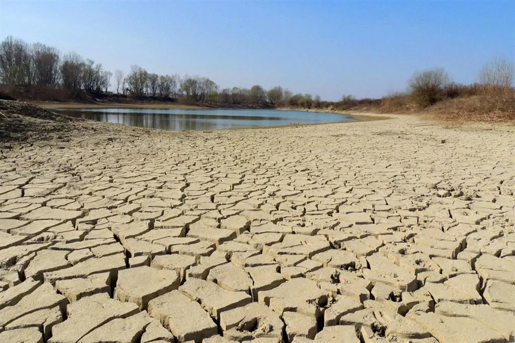 Scadenza termine invio segnalazioni per danni causati da scarse precipitazioni