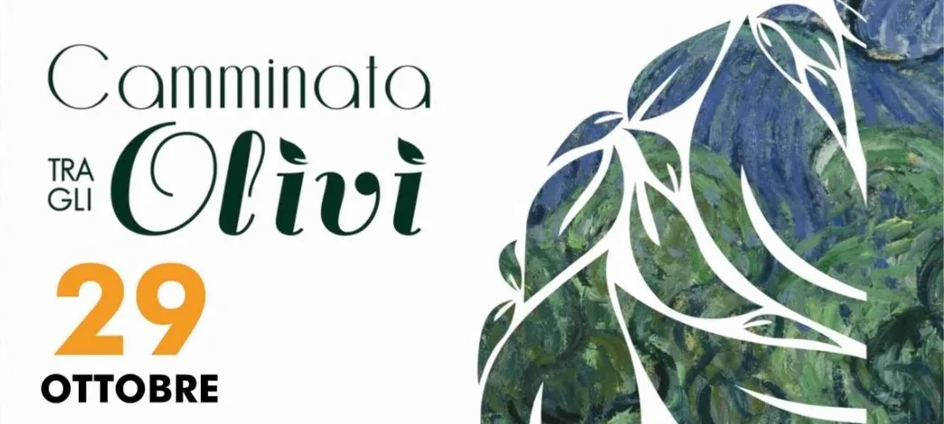 'Camminata tra gli Olivi' il 29 Ottobre