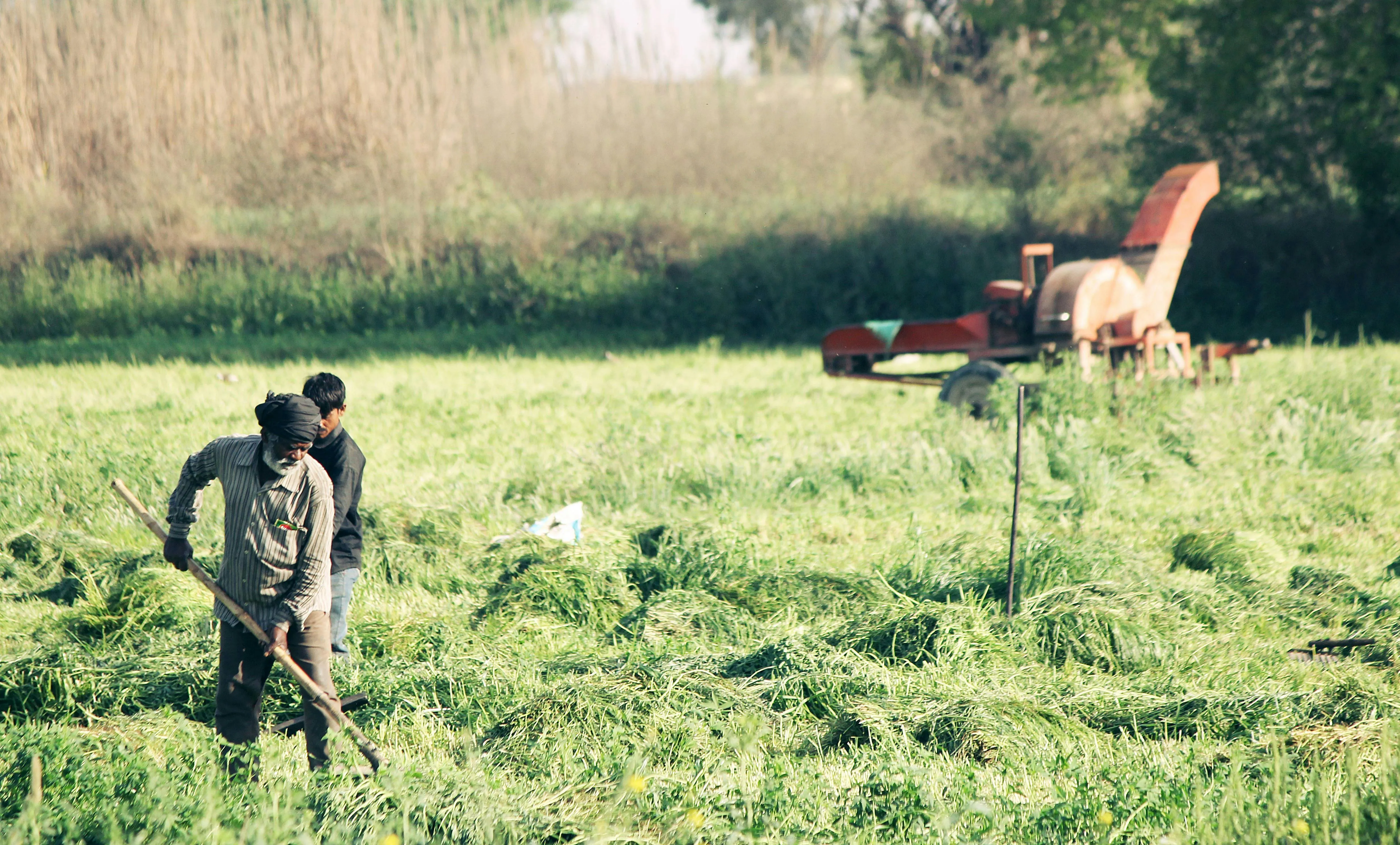 Opportunità per Imprenditori Agricoli: Finanziamenti a Fondo Perduto