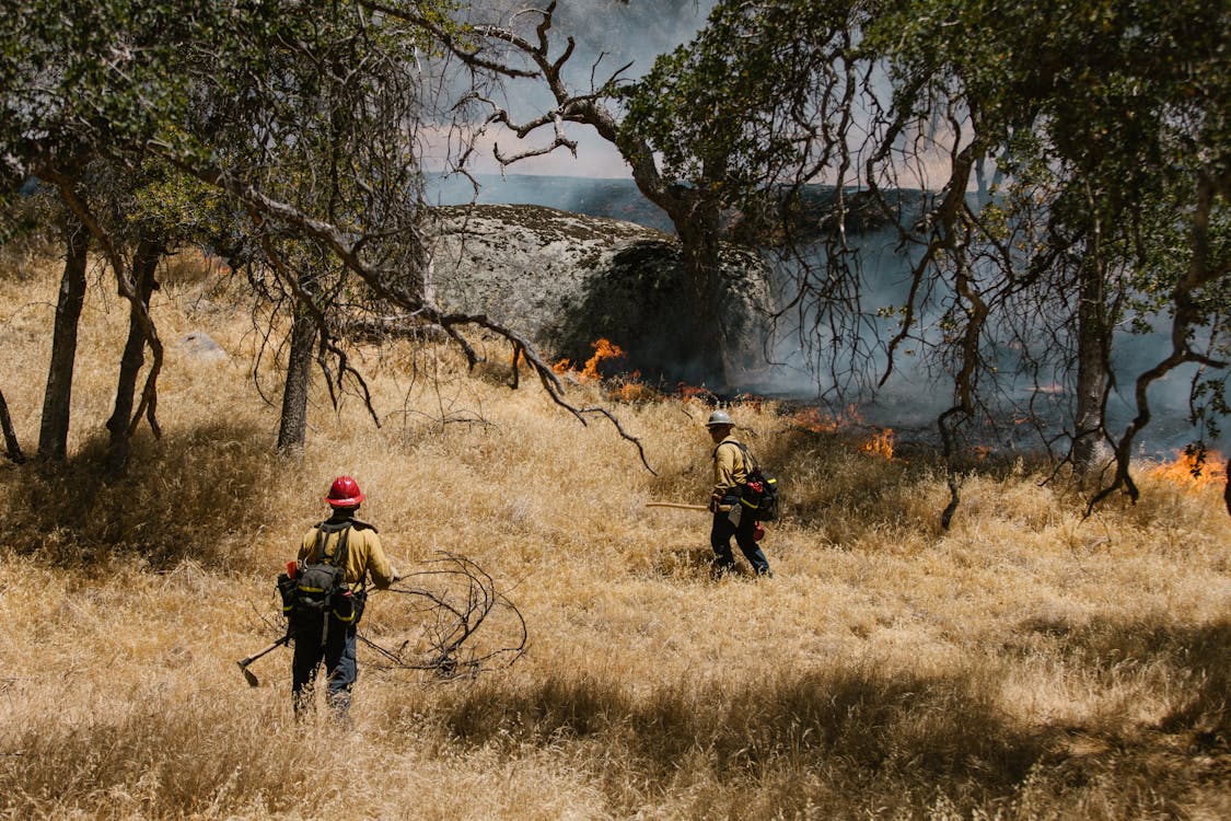 Prescrizioni Comunali di prevenzione ANTINCENDIO - Manutenzione e pulizia terreni anno 2024